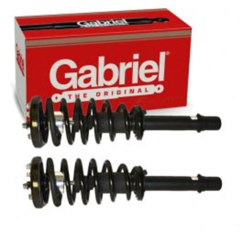 2 pc Gabriel ReadyMount G56991 Suspension Strut & Coil Springs