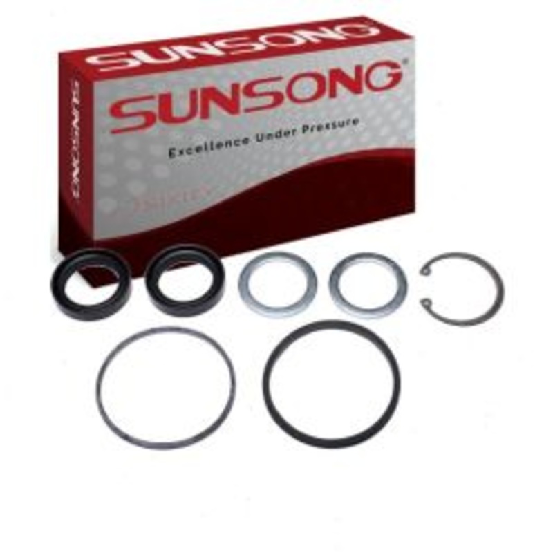 Sunsong Steering Gear Pitman Shaft Seal Kit for 1978-1979 Ford Bronco