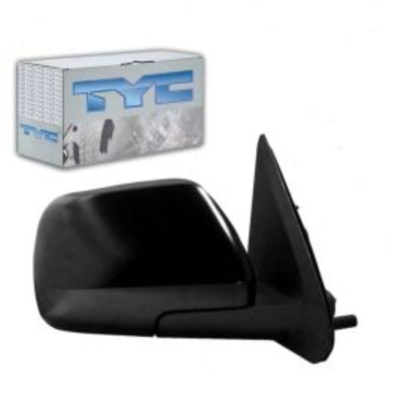 TYC 2600241 Door Mirror