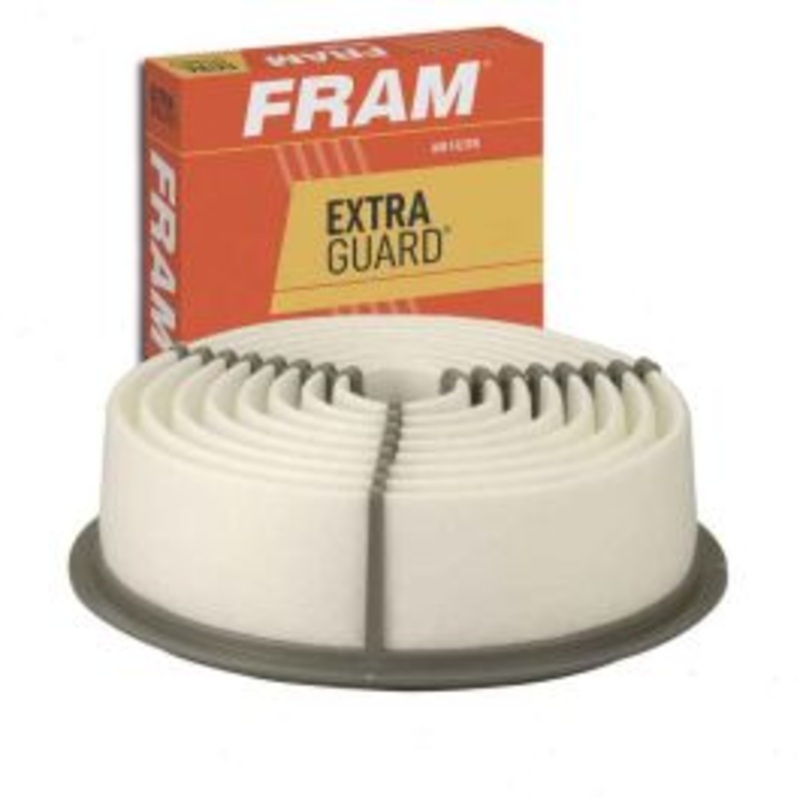 FRAM Extra Guard CA4939 Air Filter