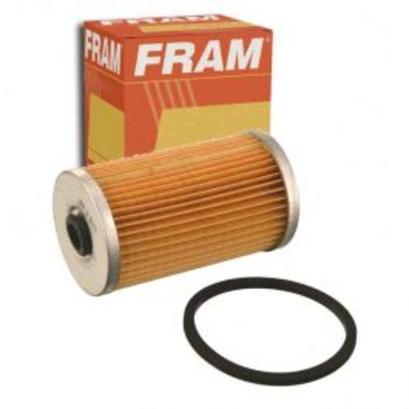 FRAM Fuel Filter for 1971-1973 Dodge B200 Van