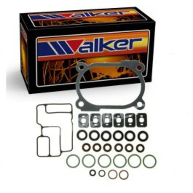 Walker Products 18102 Fuel Injector Repair Kit