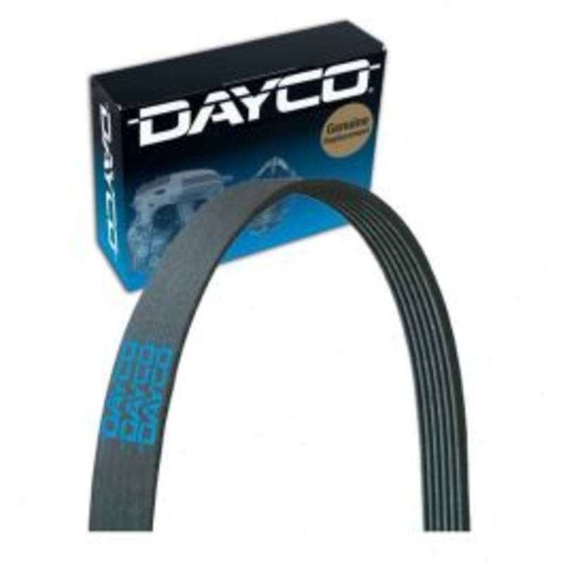 Dayco Main Drive Serpentine Belt for 2018-2019 Ford F-150 2.7L V6