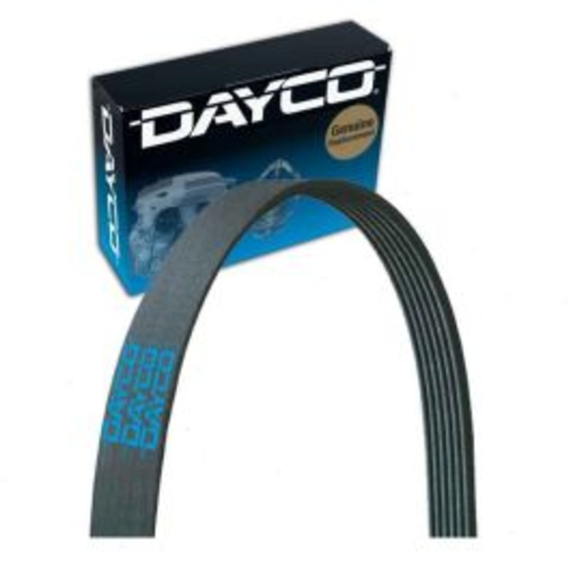 Dayco Main Drive Serpentine Belt for 2018-2019 BMW X3 3.0L L6