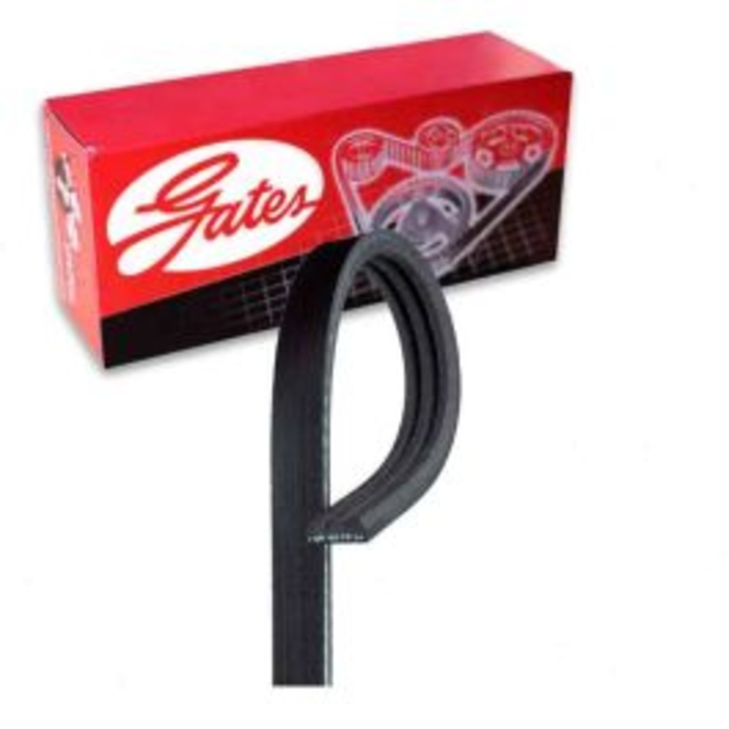 Gates Stretch Fit Micro-V K030250SF Serpentine Belt