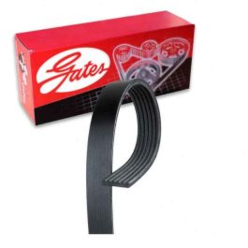 Gates Micro-V Serpentine Belt for 2011-2013 Dodge Charger 3.6L V6