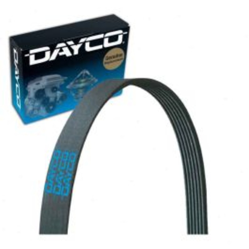 Dayco 5040368 Serpentine Belt