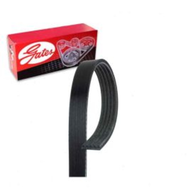 Gates Micro-V Serpentine Belt for 2010-2016 Audi R8 5.2L V10