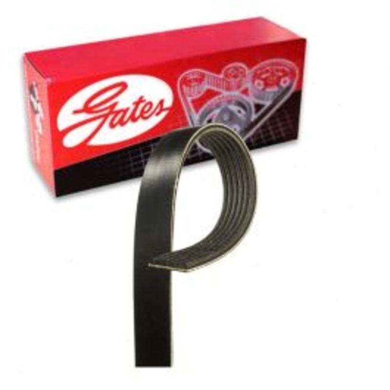 Gates Micro-V Supercharger Serpentine Belt for 2001-2004 Ford Lobo 5.4L V8