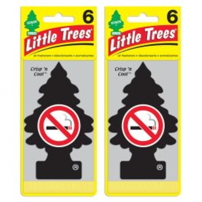 Little Trees No Smoking Air Freshener for Car and Home - 12 pack