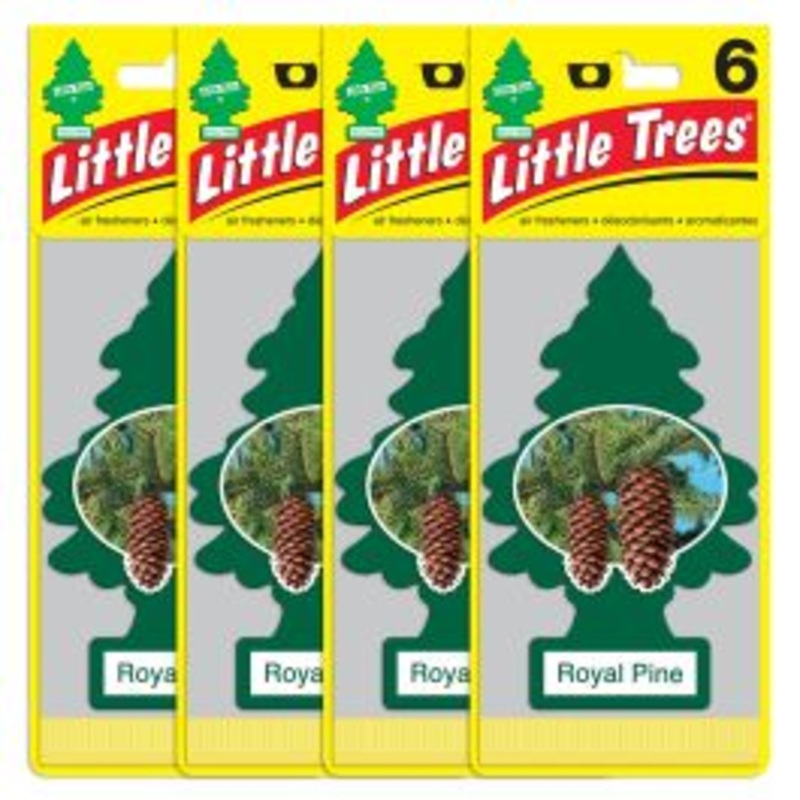 Little Trees Royal Pine Air Freshener for Car and Home - 24 pack