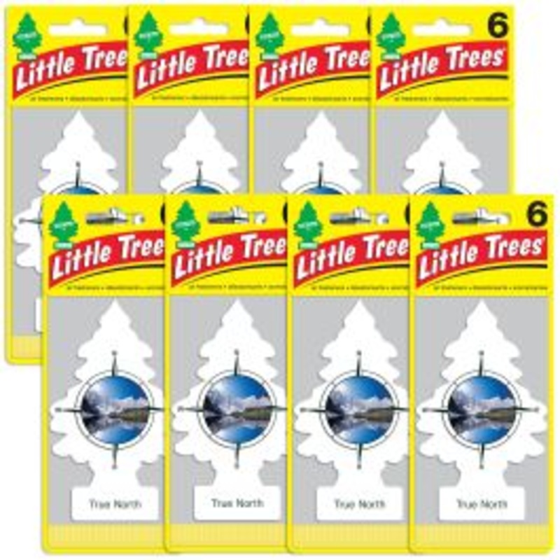 Little Trees True North Air Freshener for Car and Home - 48 pack